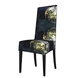 Design tendance : la housse de chaise de salle à manger Galaxy Moon est conçue pour transformer non seulement vos chaises en nouvelles, mais aussi rafraîchir votre décoration d'intérieur et prolonger la durée de vie de la chaise pour économiser votre argent. Les housses de chaise décoratives peuvent être utilisées pour les salles à manger, les banquets de mariage, les restaurants, les hôtels, les fêtes, les cérémonies, etc.