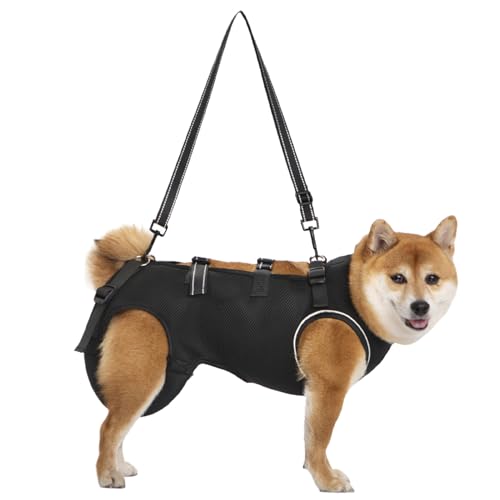 VjApT|[gn[lX | ㎈T|[gpnrn[lX | \ȒʋC̃VjApybgtgxXg
