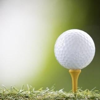 豊田市ゴルフ場利用券1枚(市内16ゴルフ場利用可)