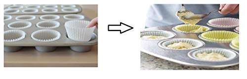 Surco E300 1-1/4" - 2" Receiver Converter #TOP4