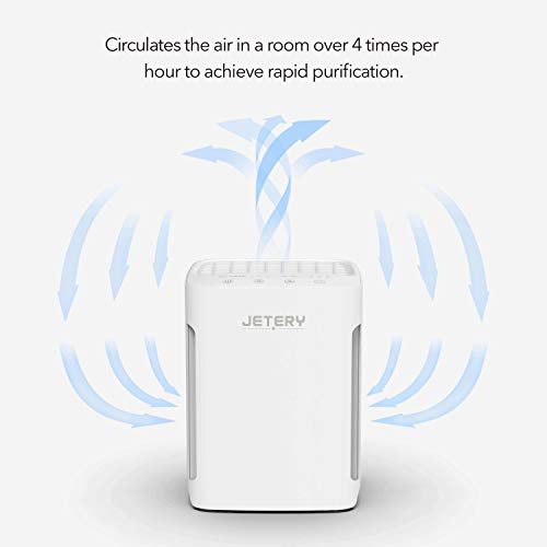 Purificatore d'aria con Filtro True HEPA 3 in 1