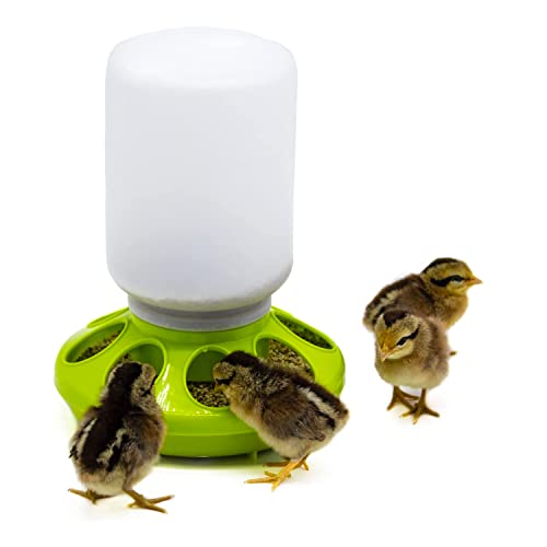 Abbeveratoio e Mangiatoia per Pulcini e Quaglie