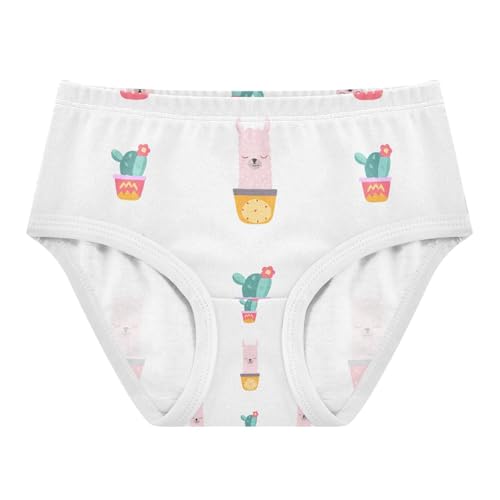 Cute Llamas Alpaca Toddler Girls's Underwear 2T 202c1290