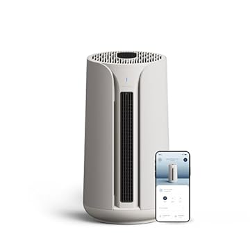 Best Air Purifier Heater Combo