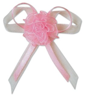 Club Fiocco autoadesivi in Organza Rosa/Verde