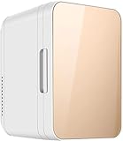 MOOWI Small refrigerator 12 Volt Gold Car Mini Fridge, Electric Mini Fridge For Car, Caravan, Camping, Travelling, Fishing, Outdoor Or Home Use