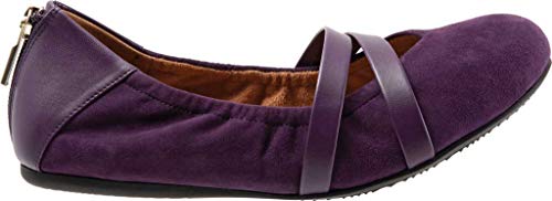 SoftWalk Women's Sierra Ballet Flat2