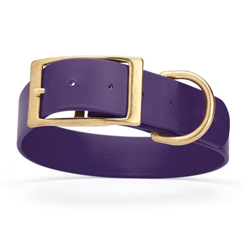 Image of Viper Biothane Heavy Duty Waterproof Dog Collar Strong Coated Nylon Webbing w /Solid Brass Hardware Odor-Proof Easy to Clean High Performance Fits Small Medium or Large Dogs, Violet Purple