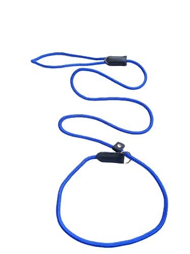 SR VISION Adjustabel 5 feet Long Nylon Cord Type Leash with Loop Choke Leash for Training and Walking Dogs and Puppies (Blue) (B0C2Q1S7G9) Amazon Price History, Amazon Price Tracker