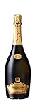 Champagne Fut de Chene Tanneux Mahy