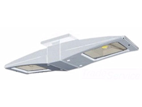 RAB CLED2X10W LED Ceiling Mount Light Fixture
