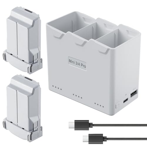 Intelligent Flight Battery Plus (2-Pack) for DJI