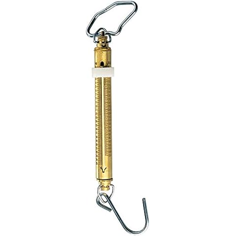 Brass Scale 50Lb Cover