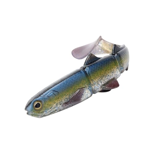 phe[A[lHCa 16 Z`[g/22 Z`[g\tgXCxCgނANZT[̐Fނ\tga