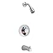 American Standard T375248.002 Colony Bath/Shower Trim Kit with Flowise Water Saving Showerhead Shower Arm, Polished Chrome