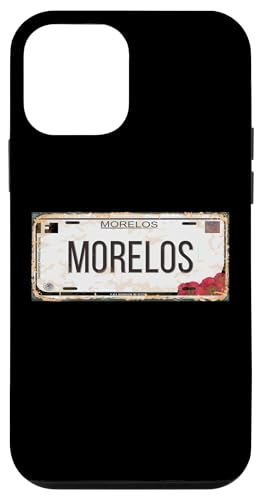 Morelos Michoacan Mexico License Plate Travel Vacation Beach �X�}�z�P�[�X iPhone 12 mini �p