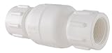 LDR 024 CVT-2 2-Inch PVC Check Valve