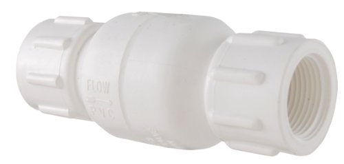LDR 024 CVT-2 2-Inch PVC Check Valve