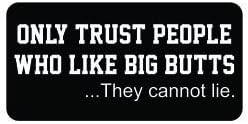 3pcs Only trust people who like big butts they cannot lie funny hard hat/helmet vinyl decal sticker
