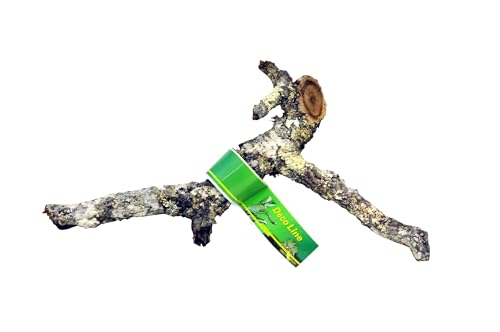 Lucky Reptile 64134 Tronchos korkast 30–40 cm, 900 g