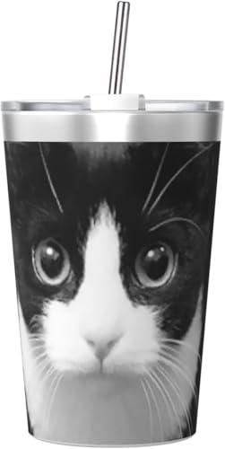 @r L L fBA[Aj}Y ^u[ 350ml XeX WƃXg[t ^fMRȂ ^  q ʋ ʊw 킢  v[g