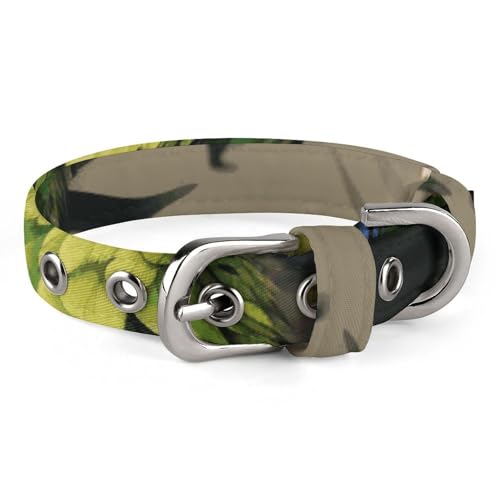 Collier doux pour chien finitions soignées en métal durable - 2