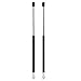 Maxpow 2PCS Gas Charged Rear Glass Window Lift Support Compatible With Chevrolet Blazer 1997-1999 and 2005 4316 ?Not Suitable for 00-04)