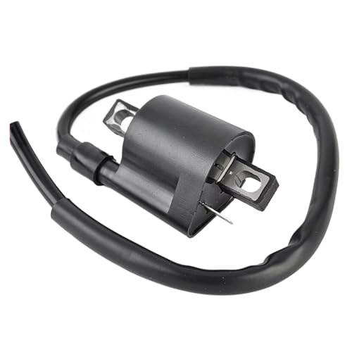 Bobina de encendido para solucionar fallos de arranque en tu Suzuki QuadRunner 33410-02C01 4