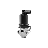 EGR WAHLER AGR-Ventil 710829D0