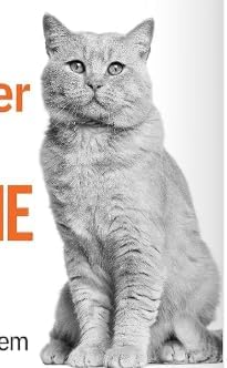 Taurine Supplement for Cats – Taurine for Cats Heart Support with Coenzyme Q10, Cat Heart Health Formula, Supports Healthy Circulation & Cardiovascular Function, 120 Tablets