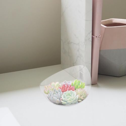 Maceta de vidrio semicircular de cuidado facil para plantas hidroponicas 8