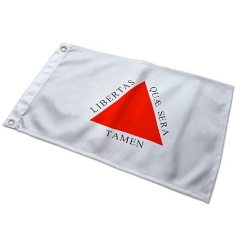Bandeira MINAS GERAIS Oficial 90 x 150 cm C/Anilhas p/Mastro Costurada Reforçada