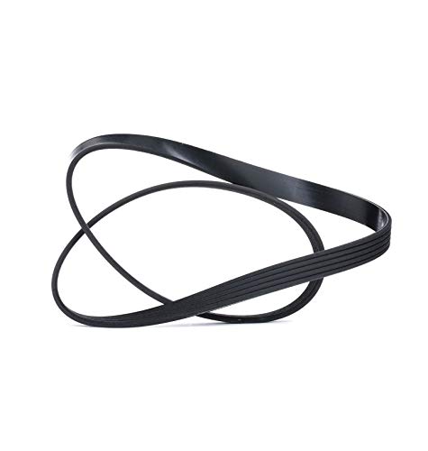 Dayco 5PK1030 Correa Trapecial Poli V