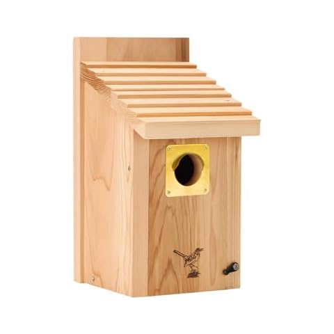 XL Bluebird Bird House by CEDAR ALPHA Cover