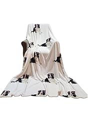 Fancy Dog Wearing Pink Glasses