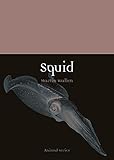 Squid (Animal)