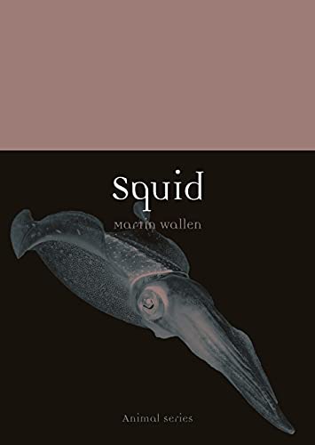 Squid view 2