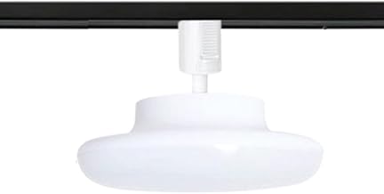 For Duct Rails, LED Ceiling Light, For Wiring Duct Rails, Integrated Ceiling Lighting, Lighting Facilities, LED Ceiling Light, For Duct Rail Mounting, Equivalent to 150W Regular Bulb (1 Daylight Color