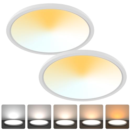Aialun 16/20/24W Led Ceiling Lights Flush Mount, 0.67" Super Slim 12 Inch Ceiling Lights Dimmable, 2700K-6500K 5 Color Selectable Close to Ceiling Light fixtures for Bathroom, Kitchen, Hallway, 2 Pack