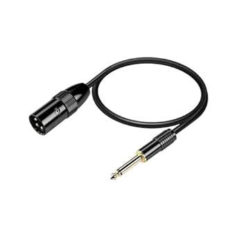 Tisino 3,5 mm TRS naar XLR gebalanceerde kabeladapter, vergulde 1/8 mini-jack Aux naar XLR mannelijk mono-audiosnoer voor mobiele telefoon, laptop, luidspreker, mixer - 30 cm Tisino 3,5 mm TRS naar XLR gebalanceerde kabeladapter, vergulde 1/8 mini-jack Aux naar XLR mannelijk mono-audiosnoer voor mobiele telefoon, laptop, luidspreker, mixer - 30 cm