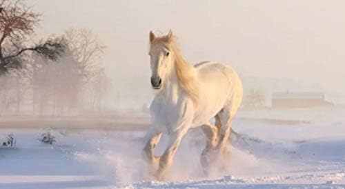 Ceramic Drink Coasters(Set of 4 of any of the photos displayed)