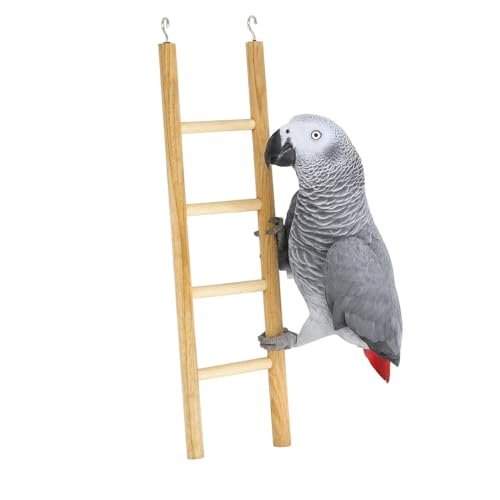 Image of KSK Wooden Ladder Bird Toy - Natural Climbing & Chew Toy for Parrots, Cockatiels, Conures, African Greys, Hamsters & Small Pets