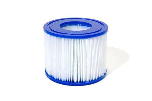 Bestway 60311 Cartuccia Filtro Di Tipo Vi Per Idromassaggio Gonfiabile Lay-Z-Spa