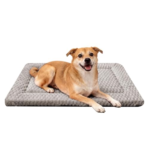 Dog Bed Mat - Dog Crate Pad - Reversible Mat for Pet Comfort - Soft Bed Crate Pads for All Seasons - Durable, Machine Washable Mat for Crates, Travel, and Home (Light Gray, 30" L*20" W*1.5" Th)