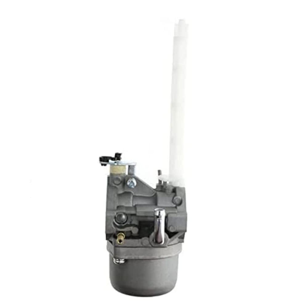 Convient pour les carburateurs Briggs Stratton de remplacement de la souffleuse à neige 796122 794593 793161 696737 (remplacement parfait) (couleur : argent)