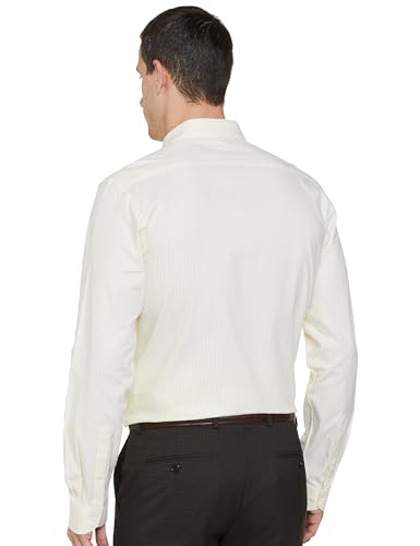 Image of Arrow Men's Cotton Striped Slim Fit Shirt