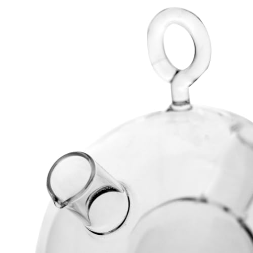 Galheteiro em vidro borossilicato L10,3xP10,3xA13,2cm (56mlx450ml)