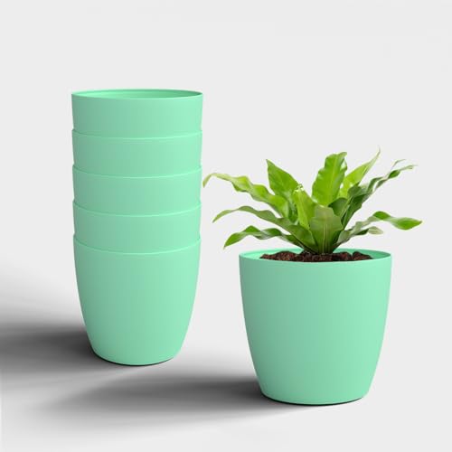 Image of YUCCABE ITALIA SHERA Stella 8 Inch Plastic Plant Pot for Home Decor Indoor Plant Pots for Living Room Plastic Flower Pot for Garden (Seagreen, 8 INCH - 6 Pcs)