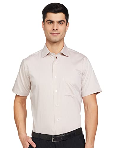 Image of Van Heusen Men's Regular Shirt (VHSHBCUF133160 Beige 46)