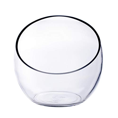 Cys Excel Glass Slant Cut Bubble Bowl (H-8" W-9") | Multiple Size Choices Slanted Globe Bowl Terrarium | Round Flower Vase Centerpiece #TOP4